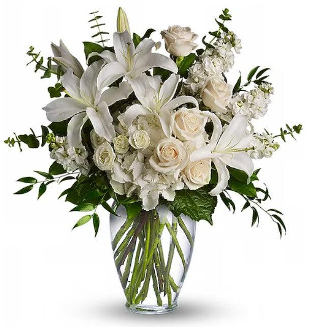 Dreams from the heart