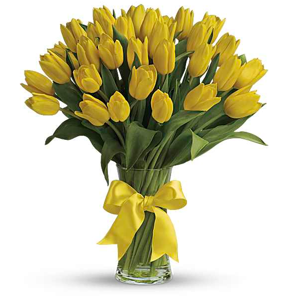 Sunny Yellow Tulips