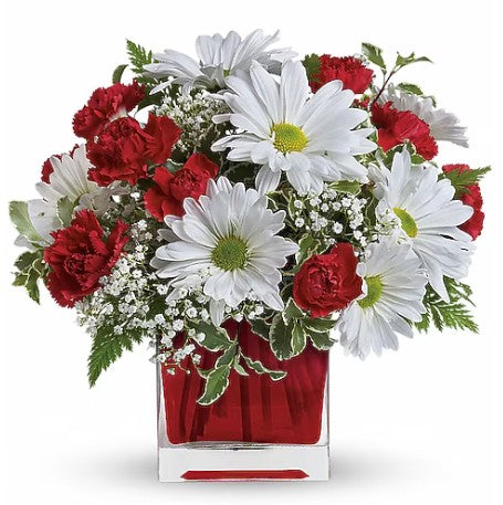 Red And White Delight