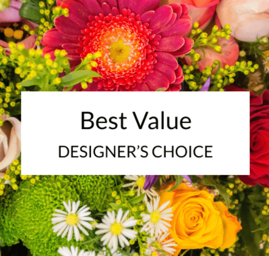 Designers Choice